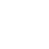 House Icon | White House Icon | White